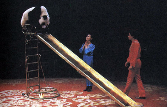 Только в китайском цирке можно увидеть дрессированную панду